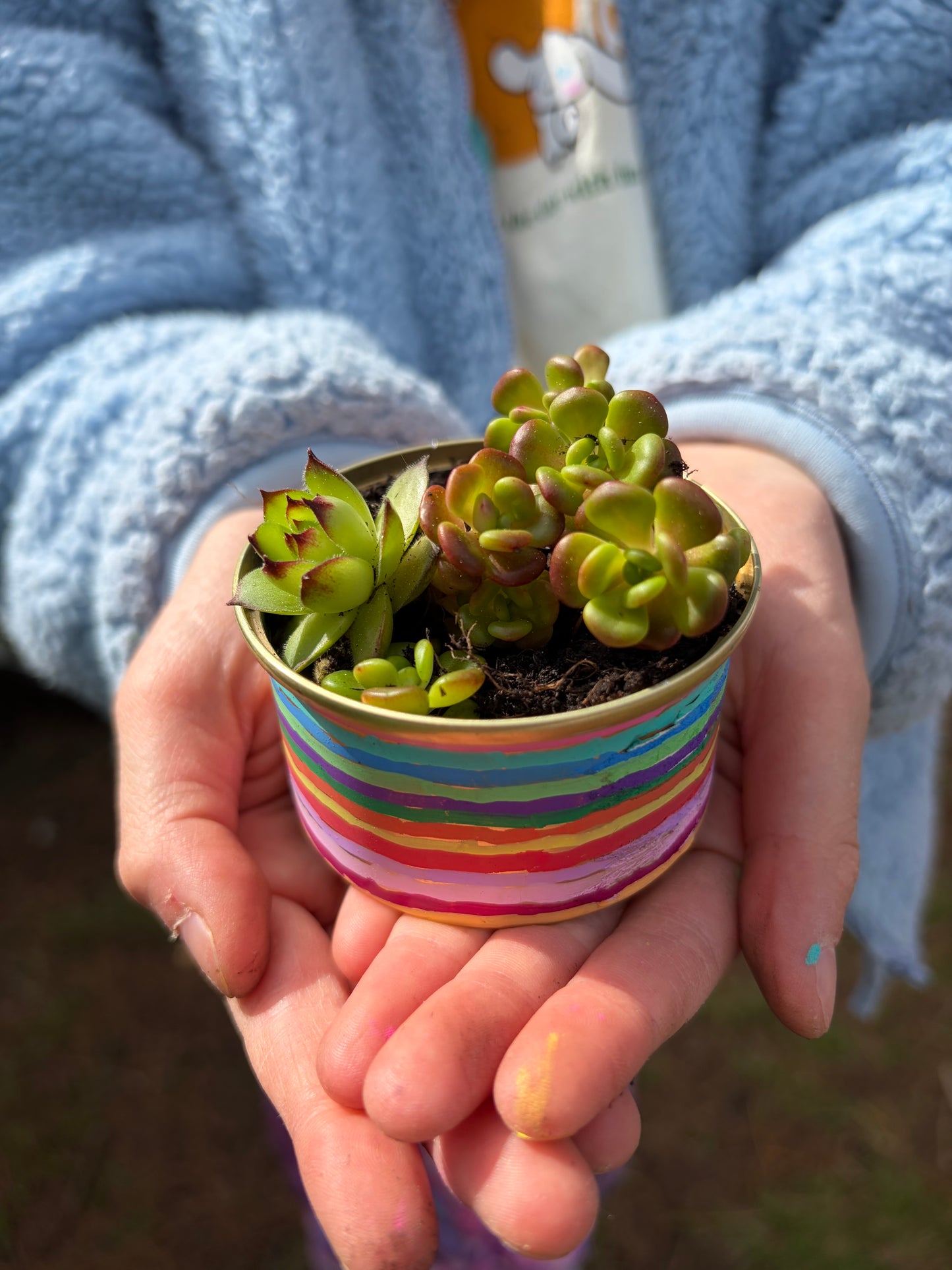 Plants