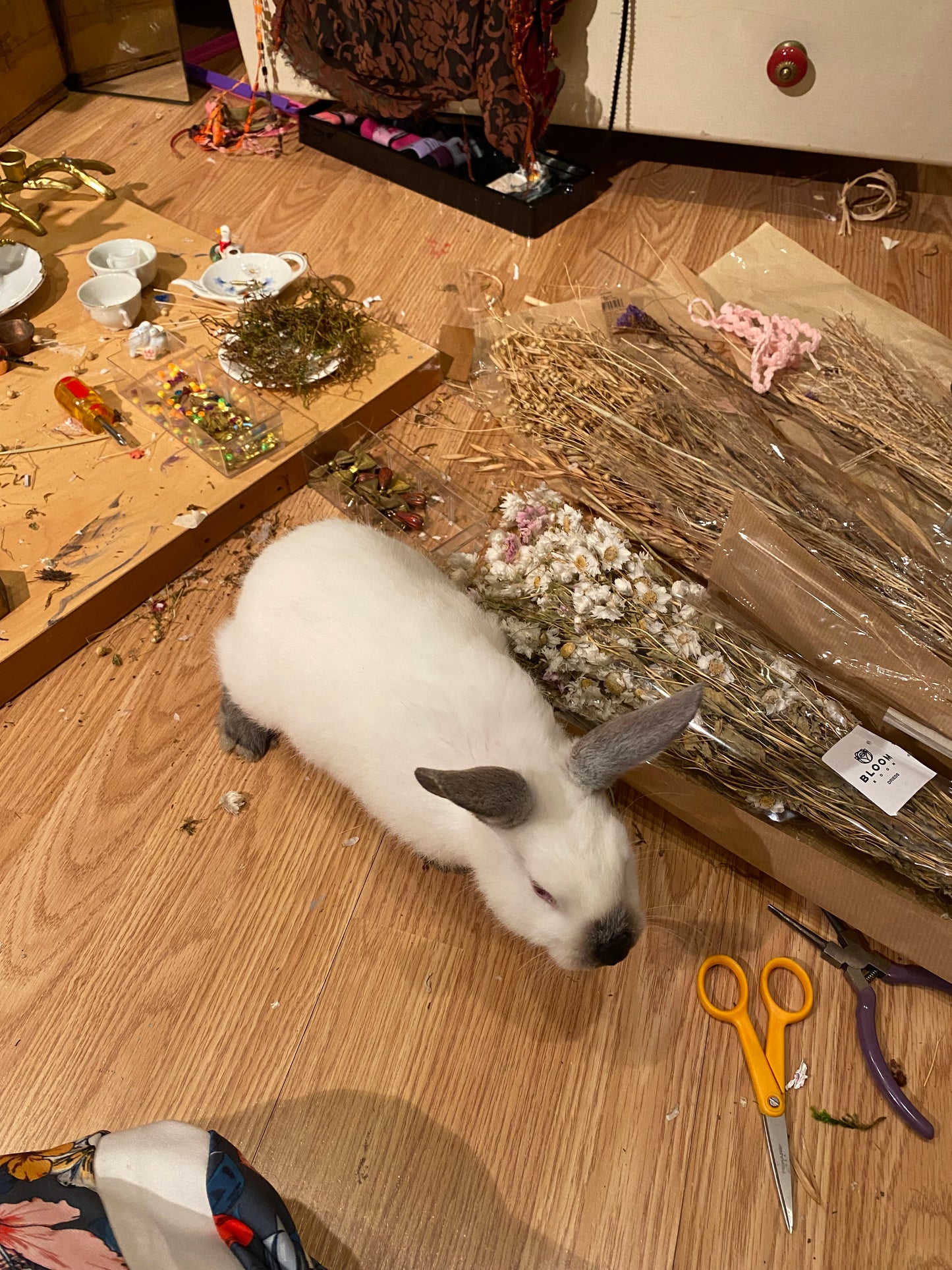 Tiny Saucer Wall Hangings