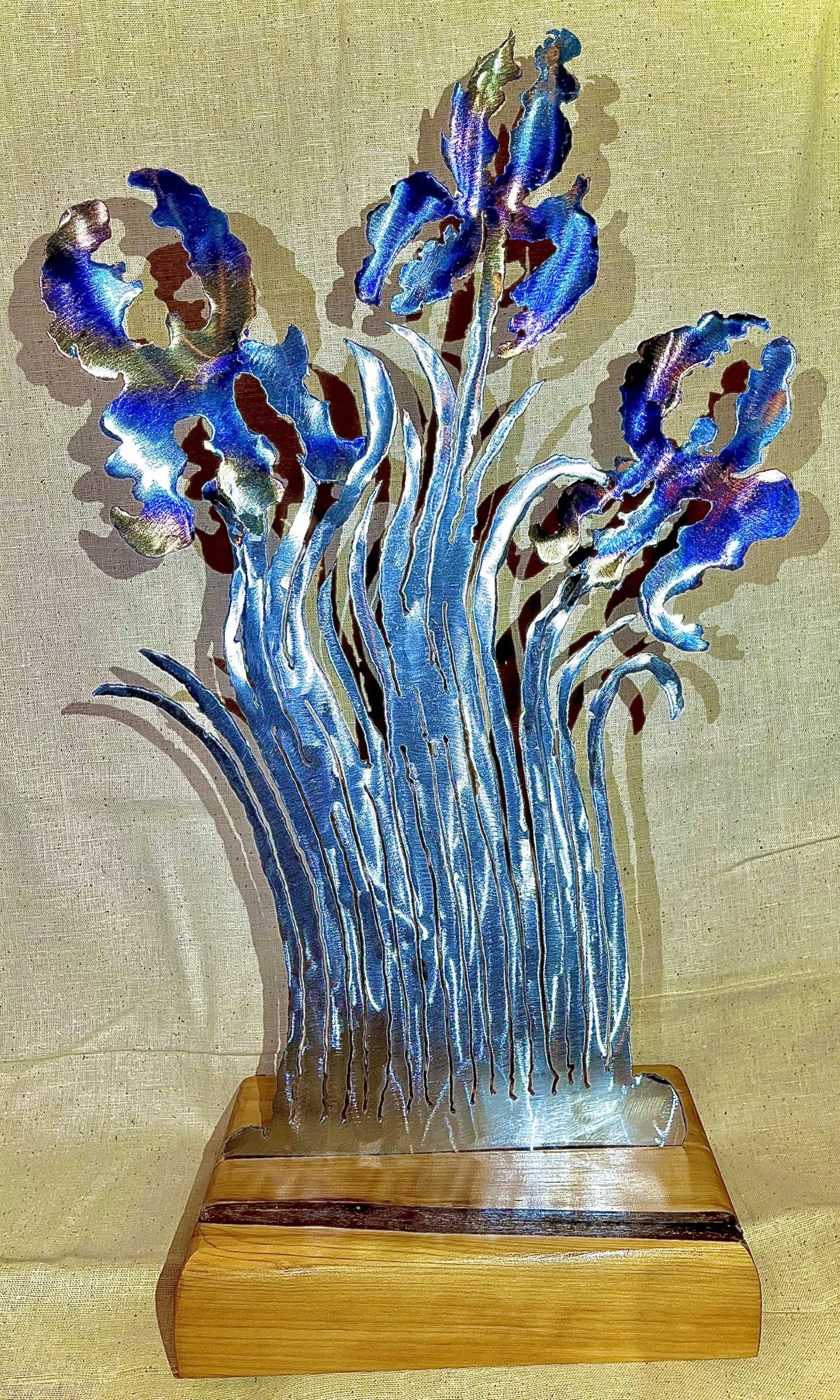 Irises, table top