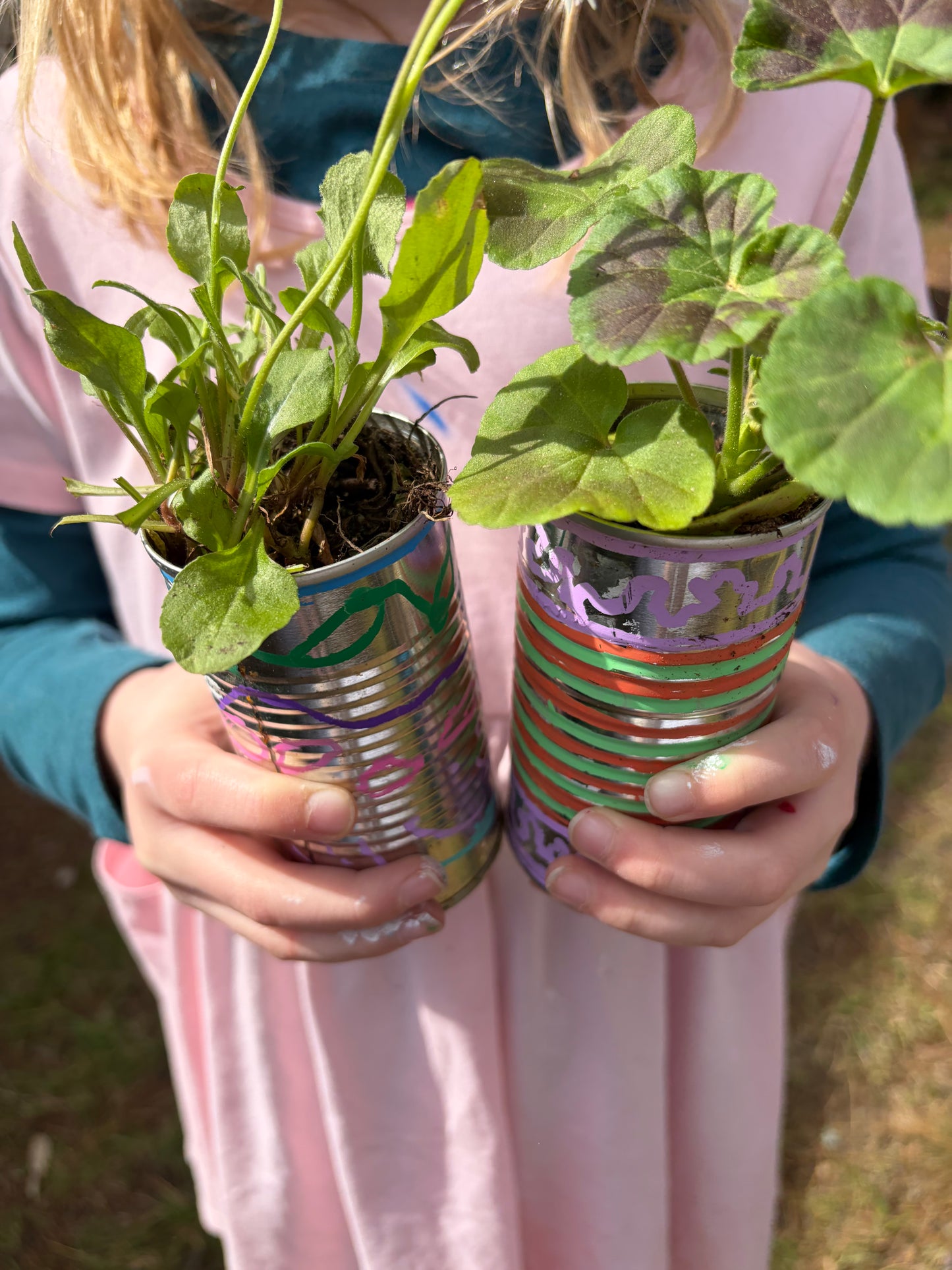 Plants
