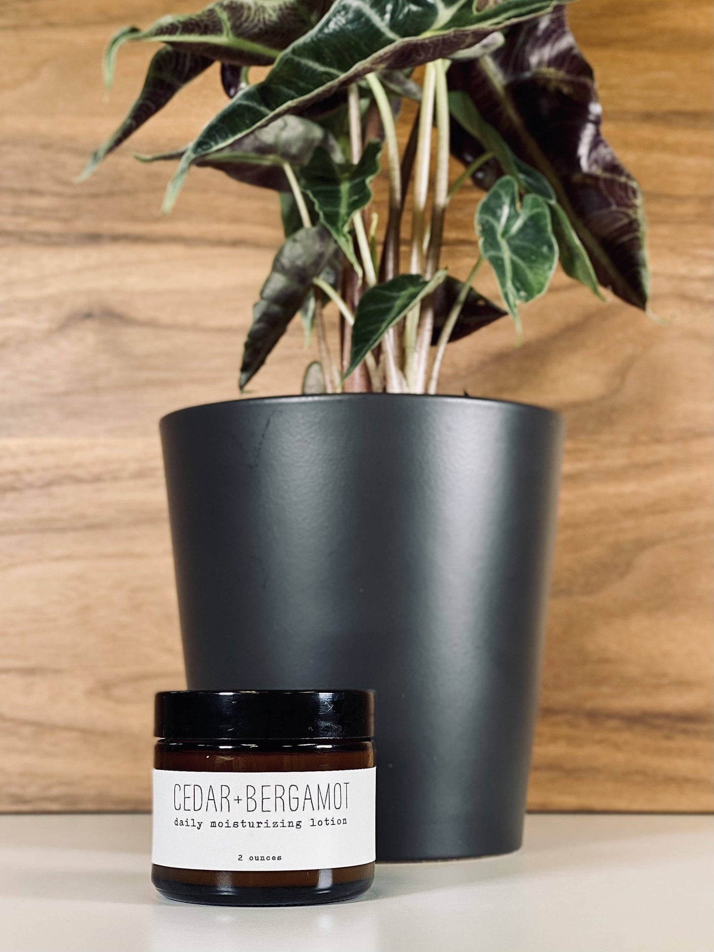 Daily Moisturizing Lotion - Woodsy - 2 Ounces