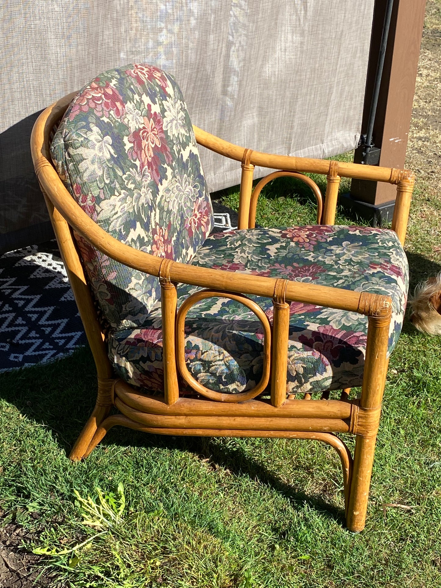 Vintage Bamboo /Rattan Chairs