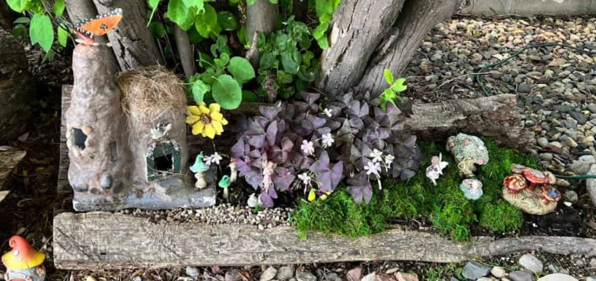 Fairy