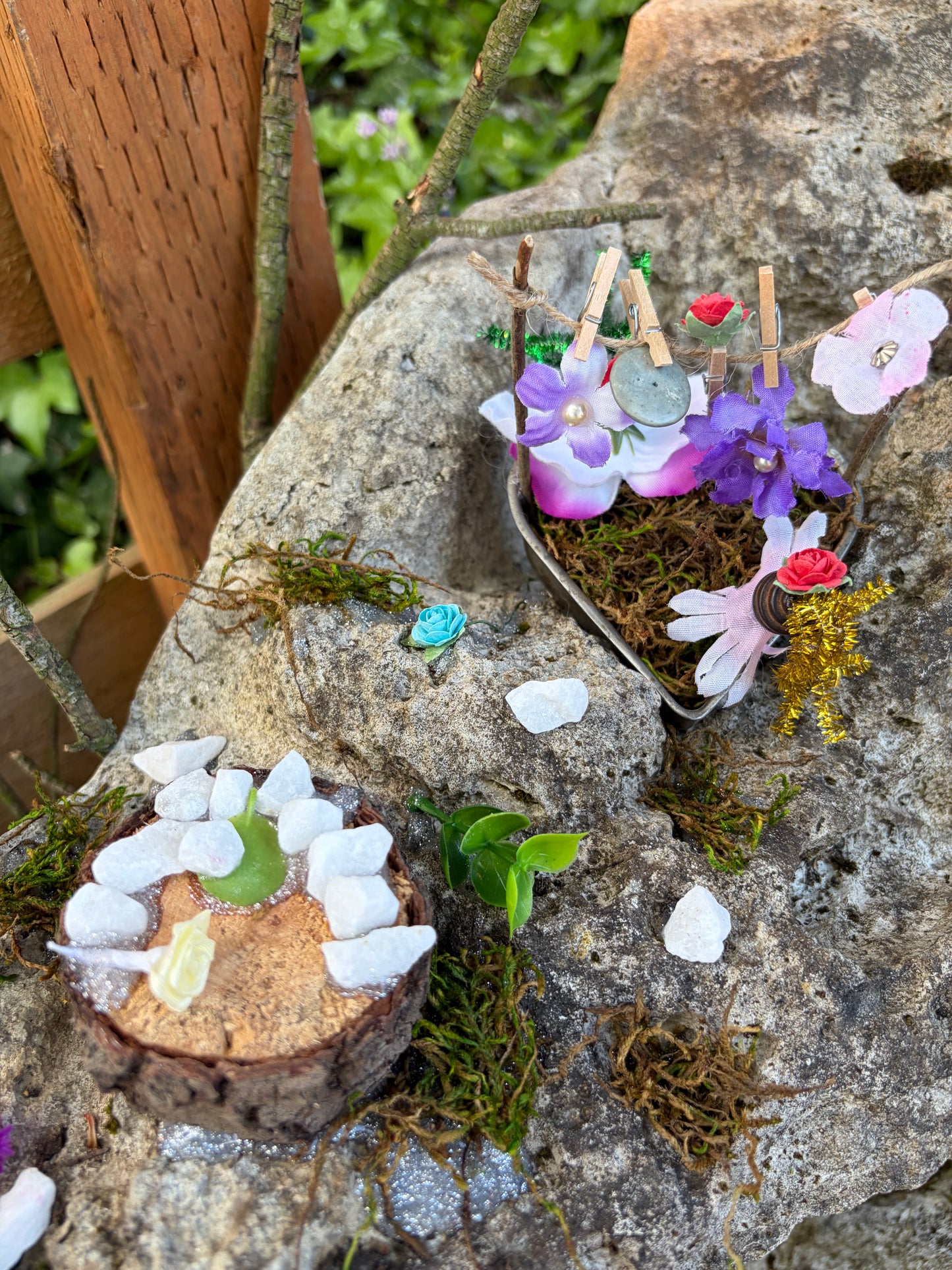 Fairy