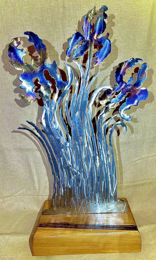 Irises, table top